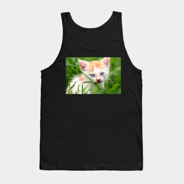 Adorable kitty in grass Tank Top by naturalis